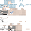 Texture for Dolphin