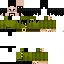 Texture for ivor