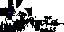 Texture for Onwexrys