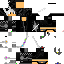 Texture for OmniLeader