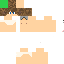 Texture for Evgit