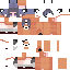 Texture for Fox