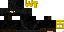 Texture for ninja