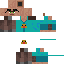Texture for 村人