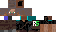 Texture for hh