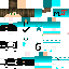 Texture for steve