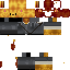 Texture for Lion Knigth