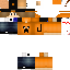 Texture for jake_craft