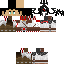 Texture for Destructor