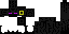 Texture for Earing Ender