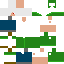 Texture for ヒスミドリ