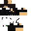 Texture for t