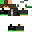 Texture for creeper1.0