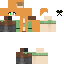 Texture for alex