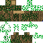 Texture for FloranLeng