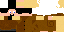 Texture for gamemode 1