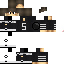 Texture for shadow player