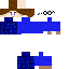 Texture for simon