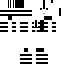 Texture for zebra