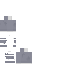Texture for ds