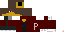 Texture for penguinnerf