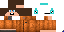 Texture for LogSom8