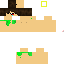 Texture for bl222 indio v2