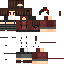 Texture for steson V3