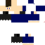 Texture for STEVE