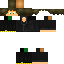 Texture for MaximP