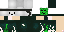 Texture for Reptile
