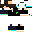 Texture for Steve