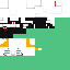 Texture for ender winter