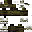Texture for springi dingi