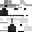 Texture for Skientist