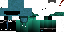 Texture for waltheermc