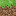 Texture for Grass_block
