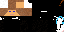 Texture for NINJA