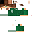 Texture for _Pheenix