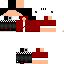 Texture for camelo2020