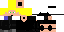 Texture for ninja
