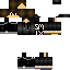 Texture for SNIX tim
