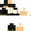 Texture for compagnons