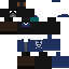 Texture for crow2