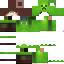 Texture for wither jose creeper