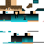 Texture for i_spack05