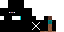 Texture for ninja