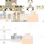 Texture for mcskin