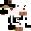Texture for Steve_G4mer
