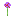 Texture for allium